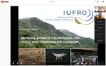 Talk at IUFRO webinar